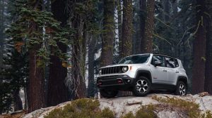 2024 Jeep Lineup: Everything You Need To Know - FCA JeepFCA Jeep